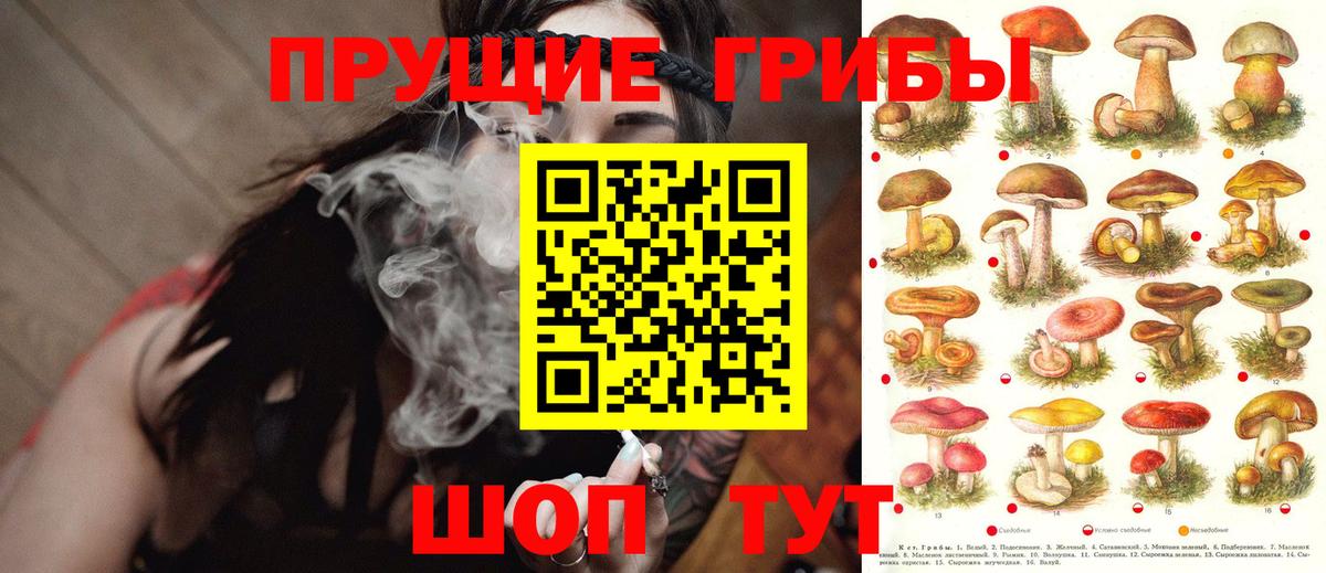 Псилоцибиновые грибы MAGIC MUSHROOMS  где продают   Берёзовский  Галлюциногенные грибы ЛСД  Вход с VPN 